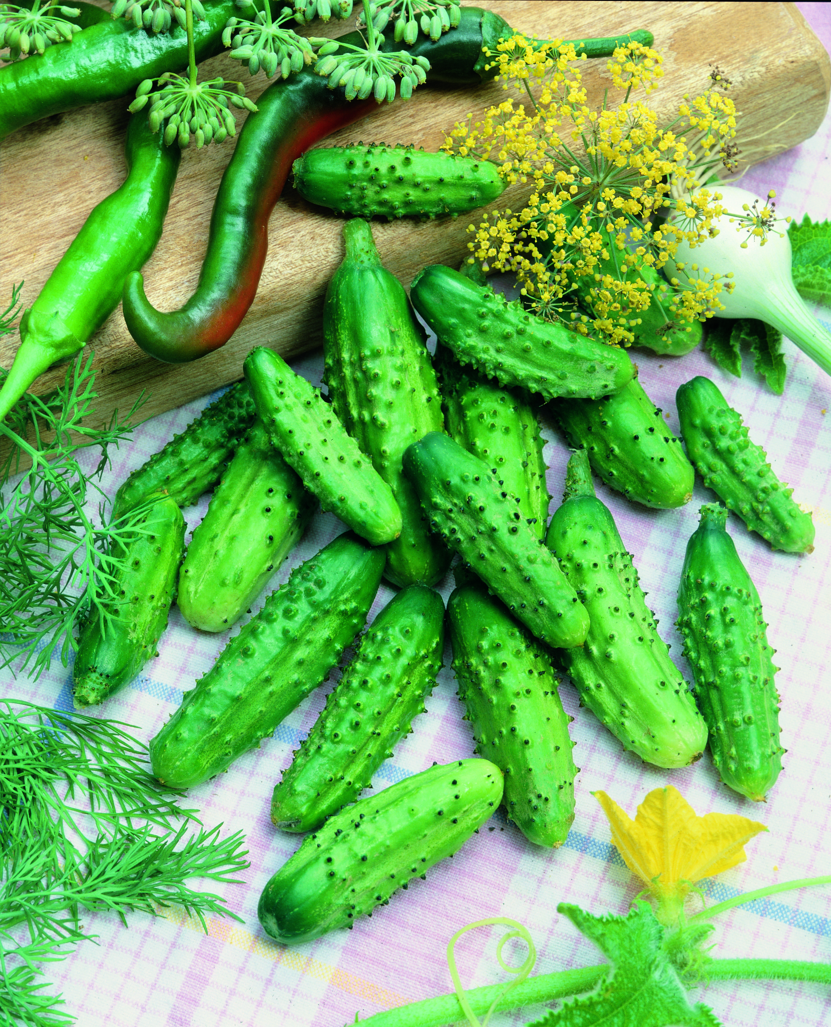 Cucumber Homemade Pickles - Pickling