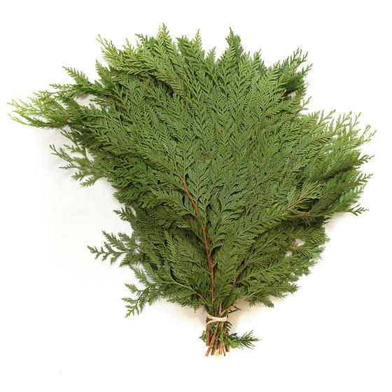 Greens-Cedar Bunch