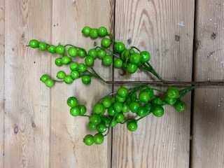 Berries-Green Berry Spray
