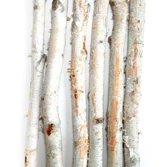 Branches-Birch Poles