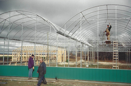 greenhouse-building-1