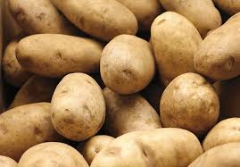 Potato Seed - Russet