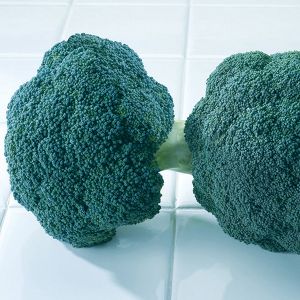 Broccoli - Destiny